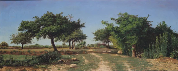 Caminho, através, a, maçãs, árvores, (oil)